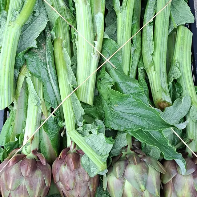 Carciofi in cassa, vista dall'alto