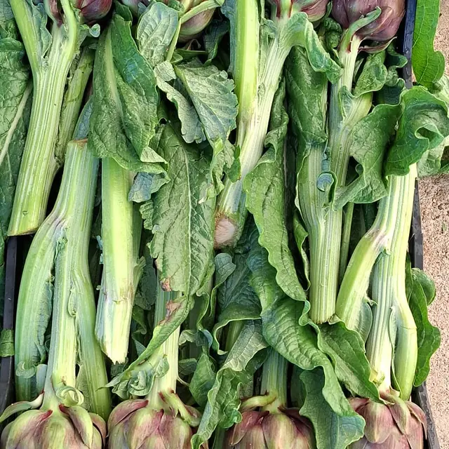 Carciofi violetti in cassa
