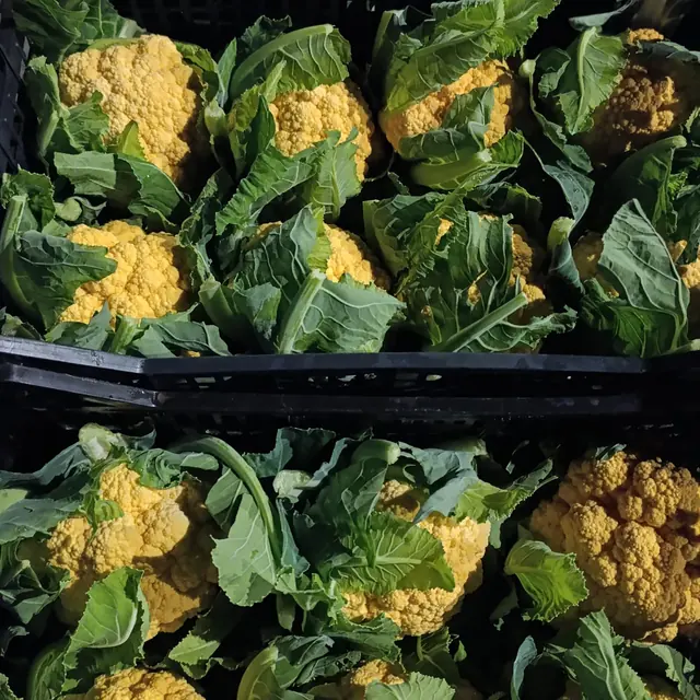 Cavolfiori gialli nelle casse