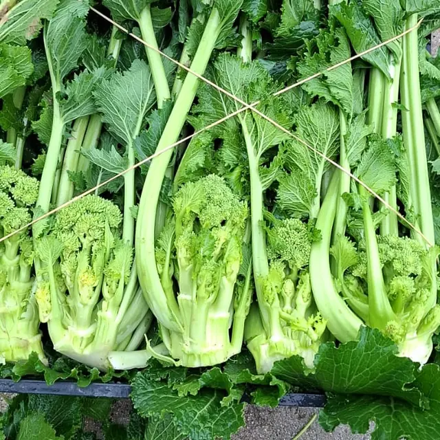 Cime di rapa legate in cassa