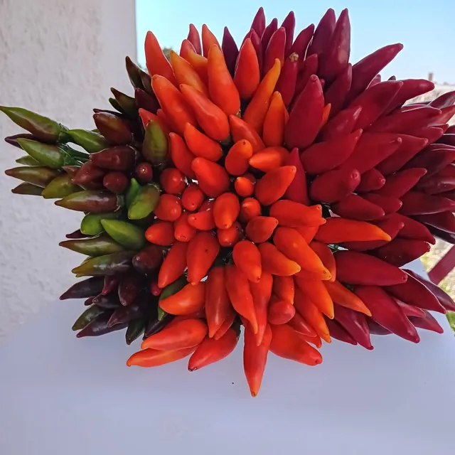 Mazzo di peperoncini Guardacielo